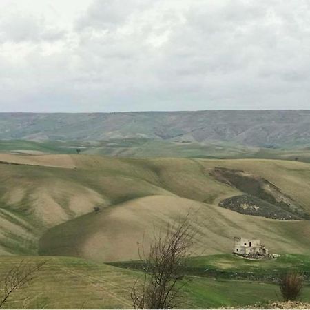 B&B Mantegna Irsina Mt Exterior foto